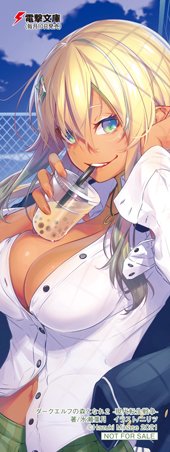 とらのあな特典画像