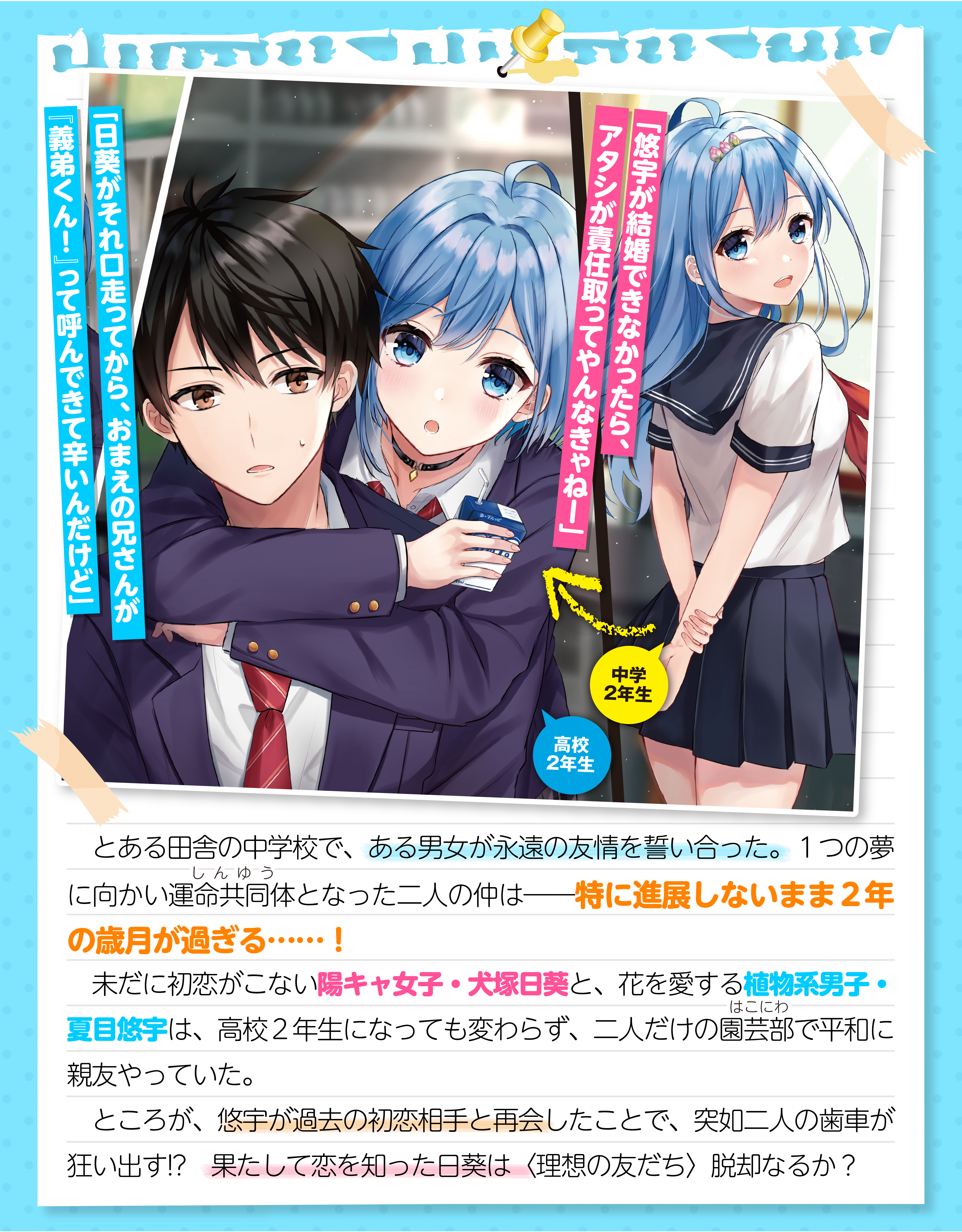 『だんじょる?』_あらすじ