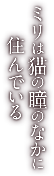 ミリは猫の瞳のなかに住んでいる
